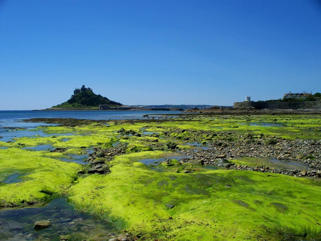 Wheal Rodney Holiday Park Marazion Habitación foto